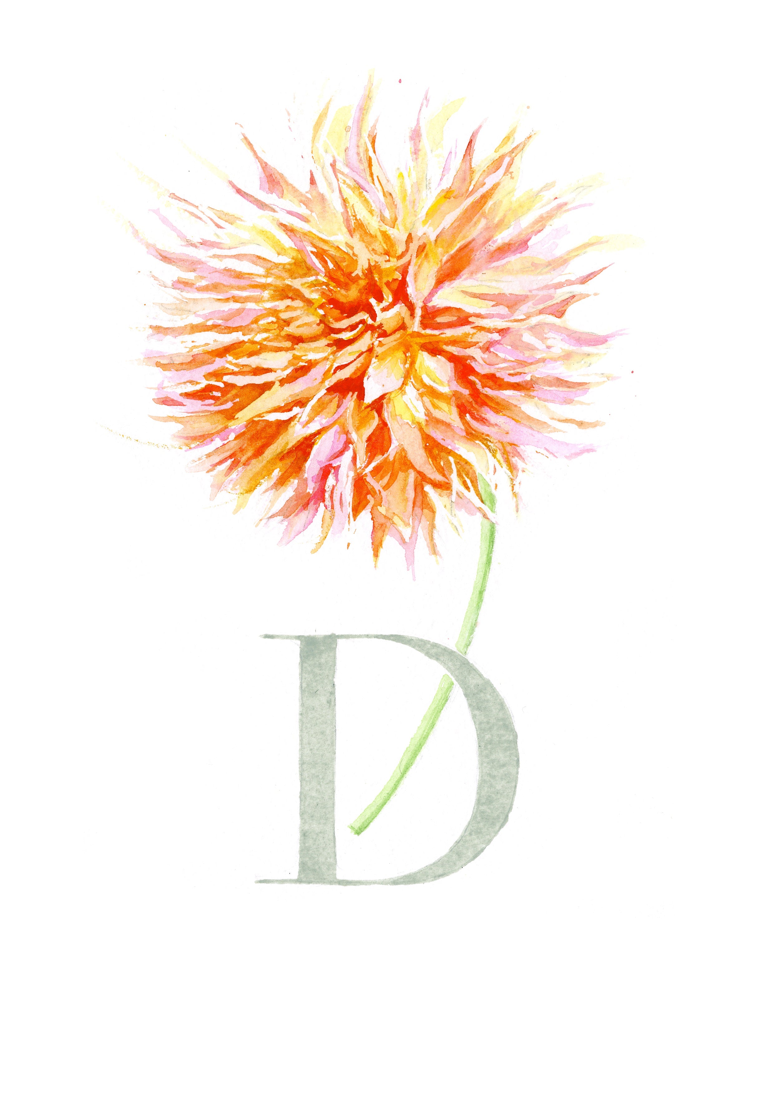 D (Dahlia)