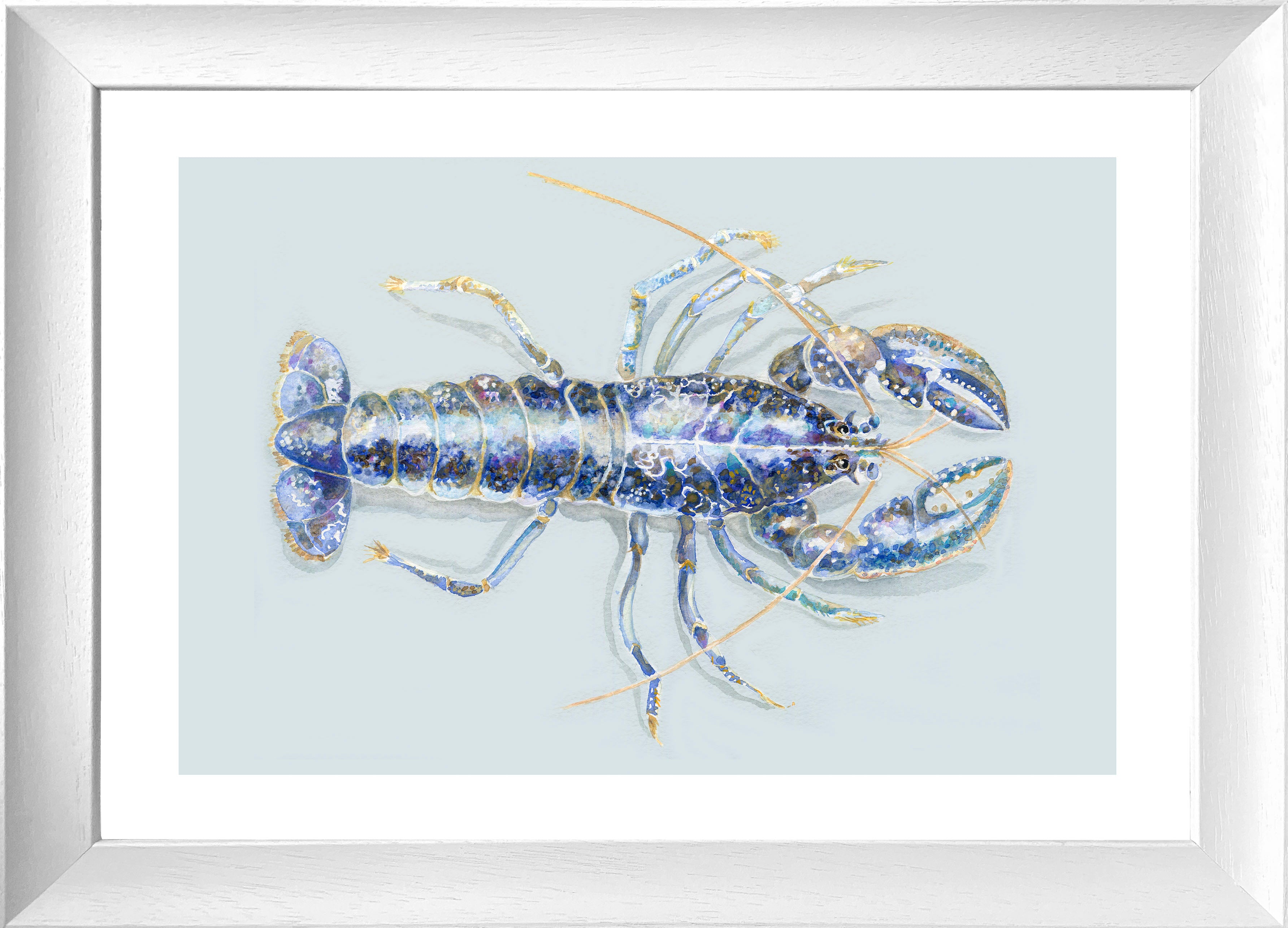 Blue Lobster (Framed Print)