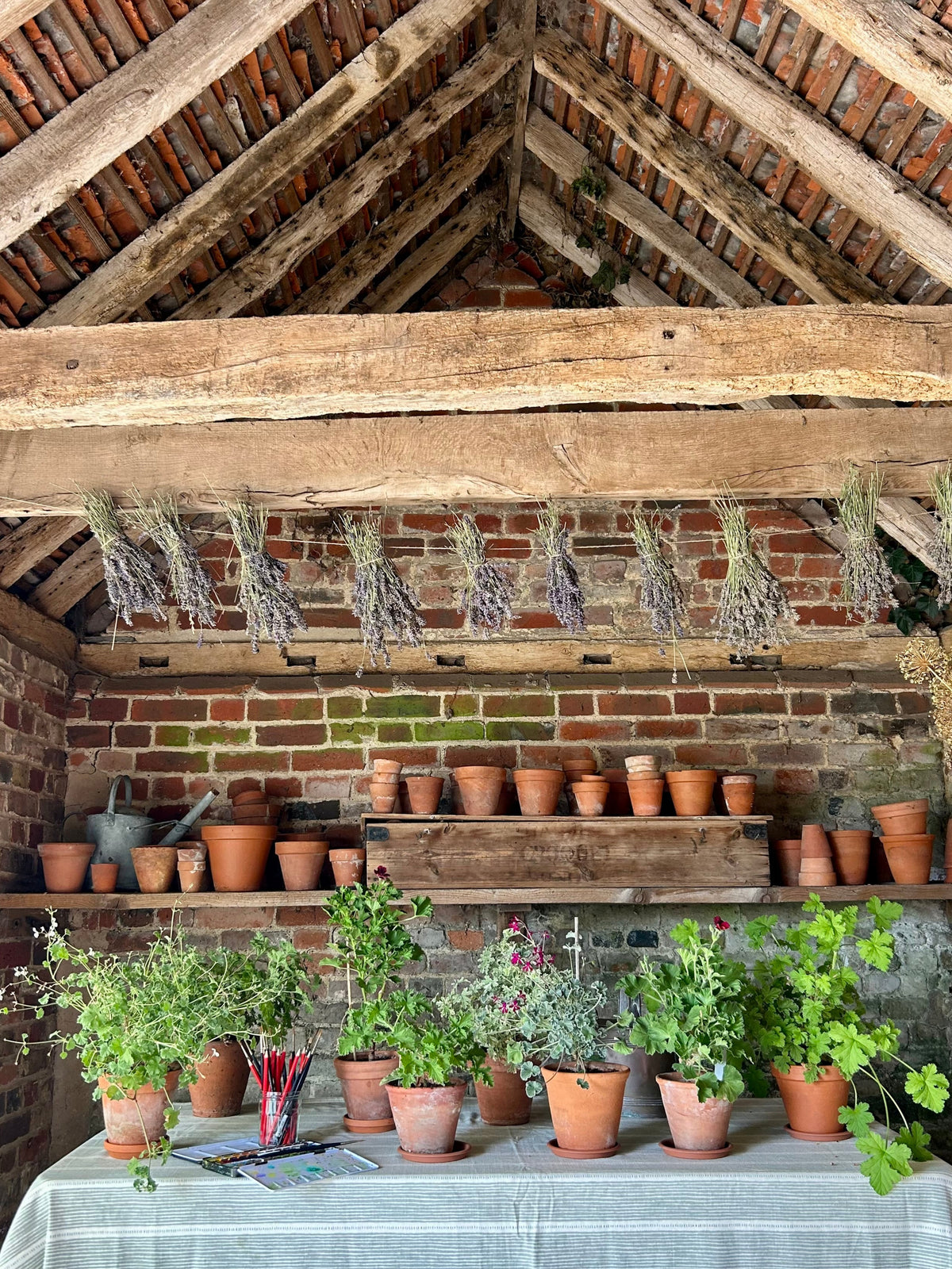A rustic indoor garden display with numerous potted herbs and small plants arranged on a table covered with a striped cloth, with more pots on wooden shelves against a brick wall. A wood-beamed, tiled roof surrounds the space, and dried herbs hang from hooks above.