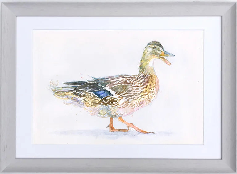 Mrs Duck (Framed Print)