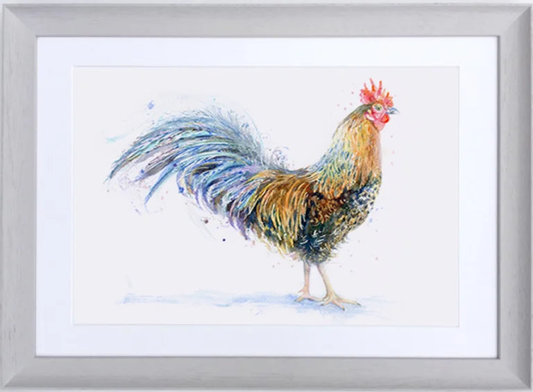 Romeo Rooster (Framed print)