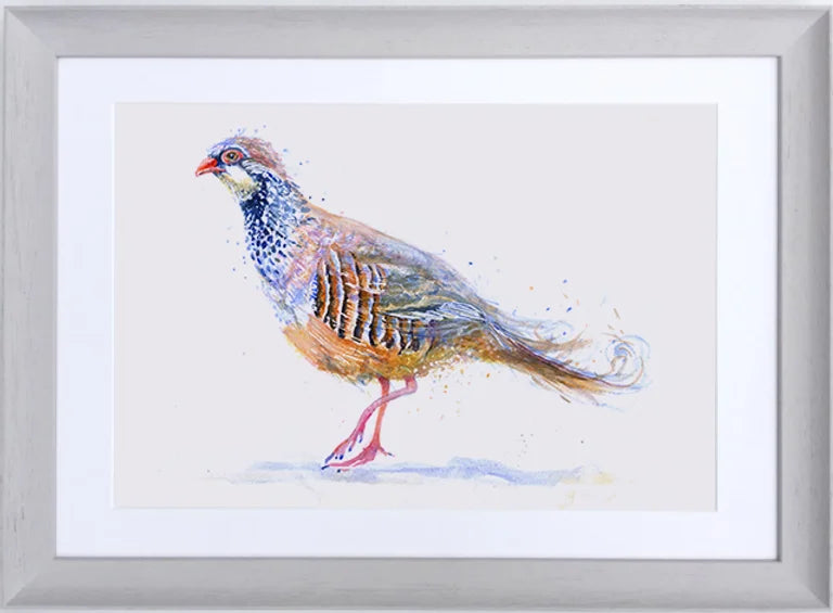 Pink Legged Partridge (Framed Print)