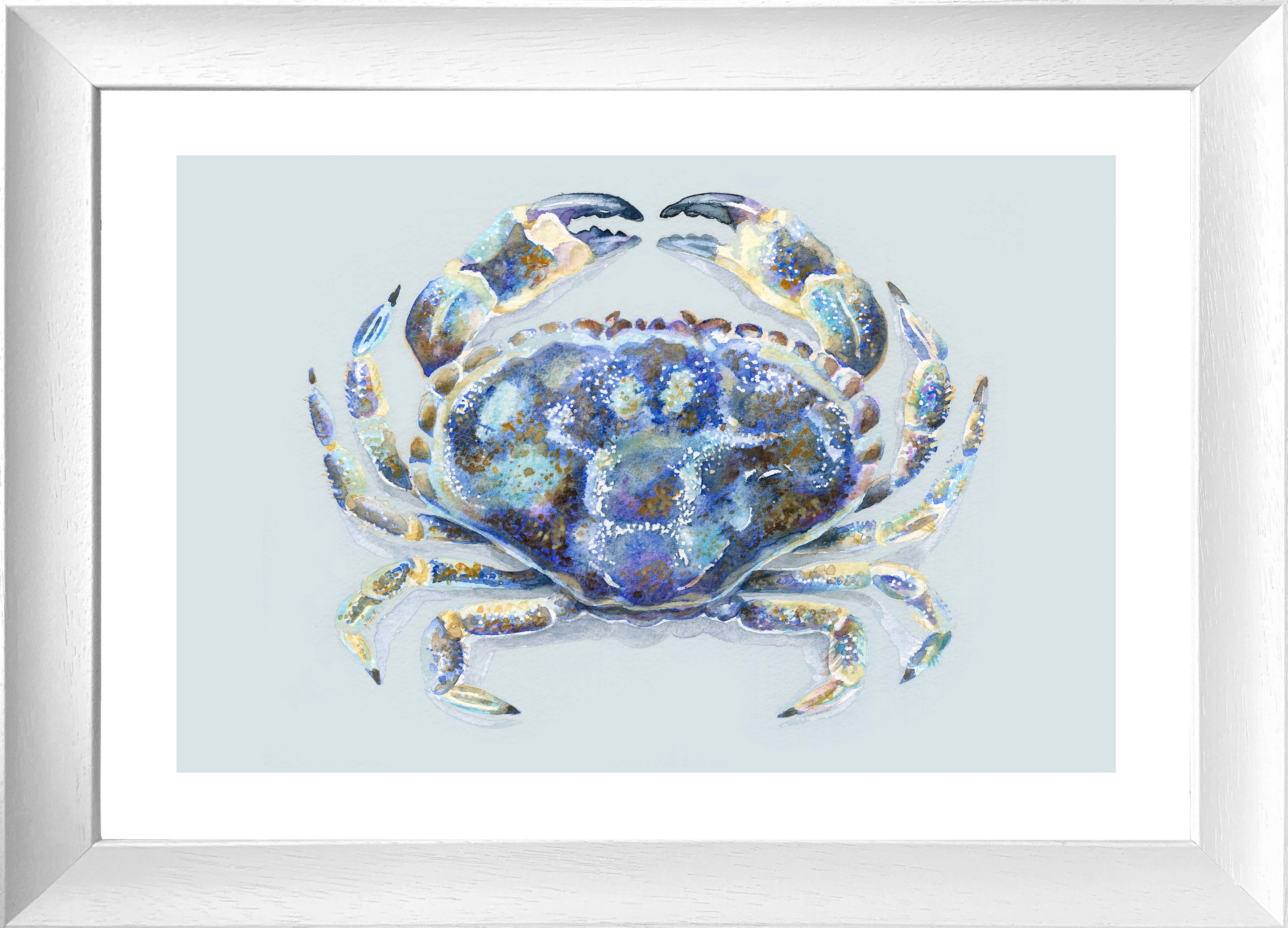 Sea Crab (Framed Print)