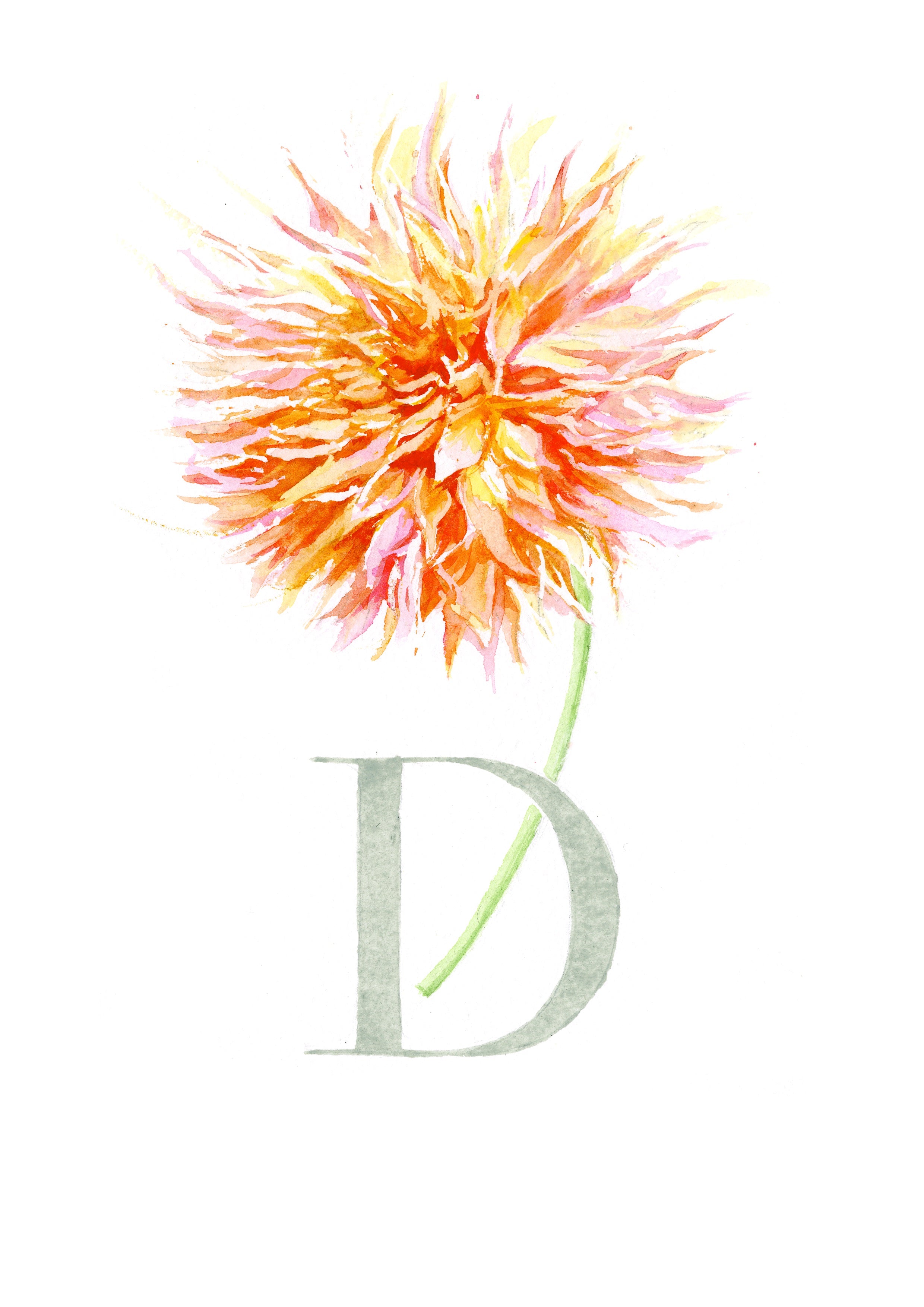 D (Dahlia)