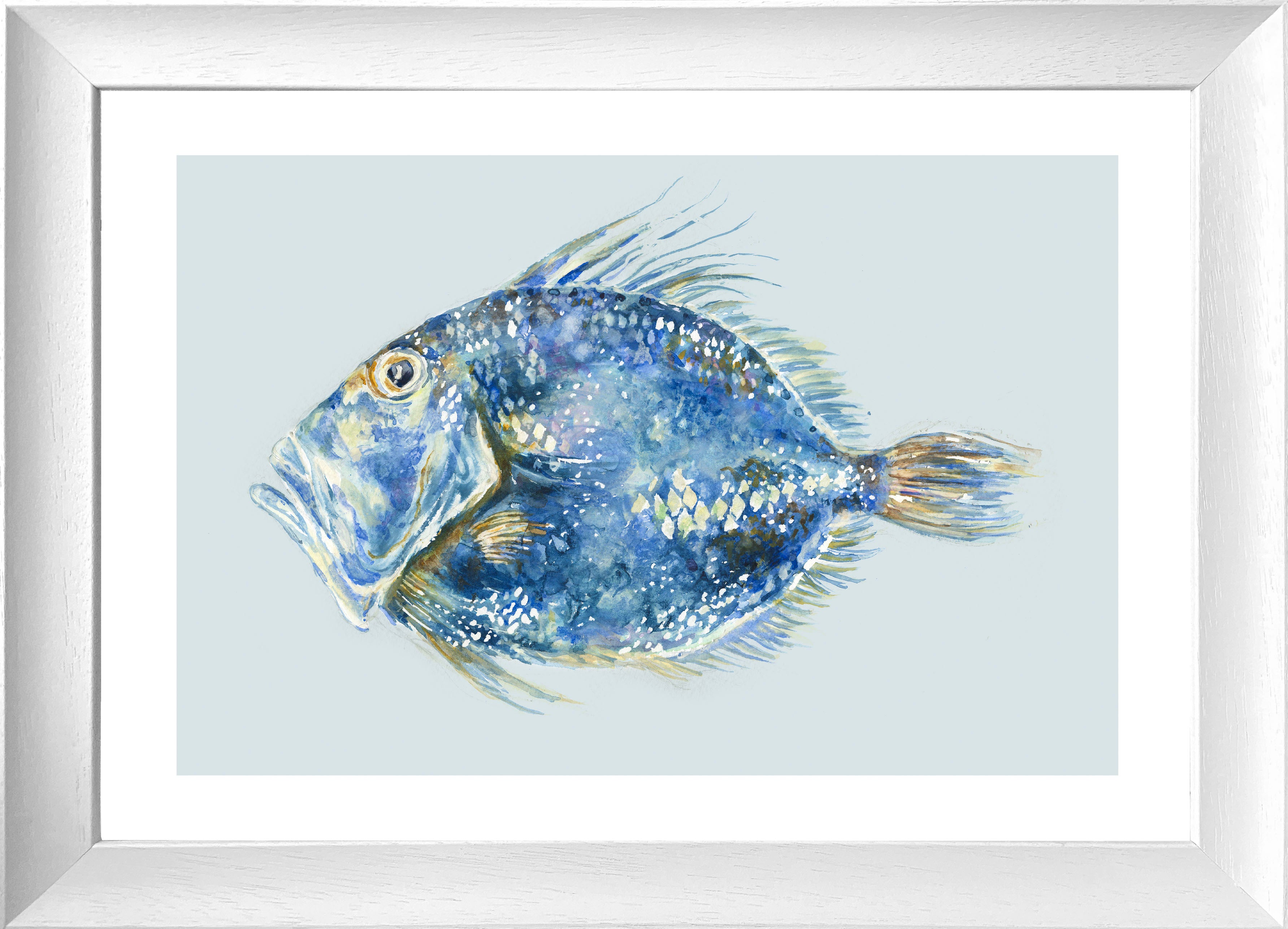 Deliciously Dory (Framed Print)