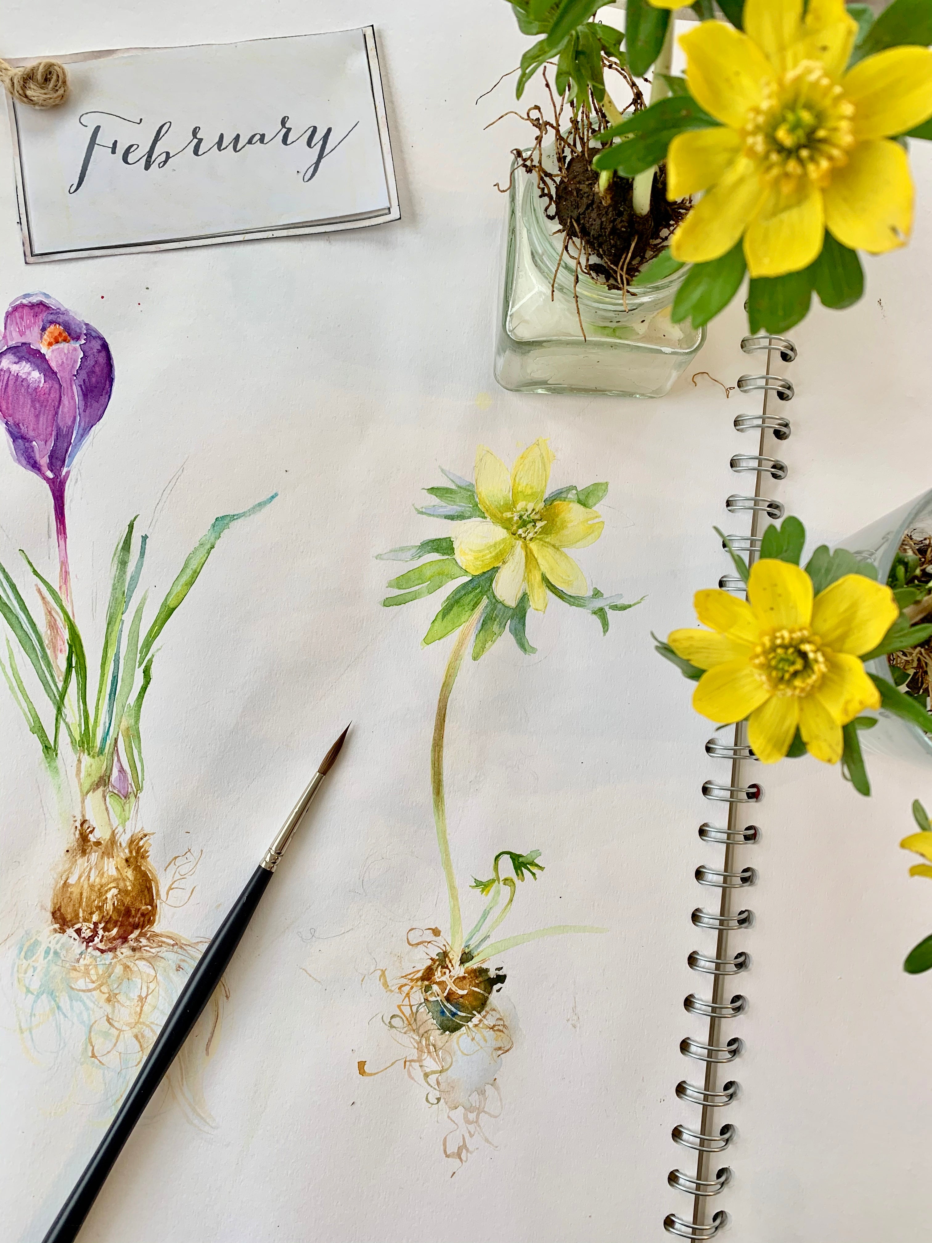 Thursday February Workshop