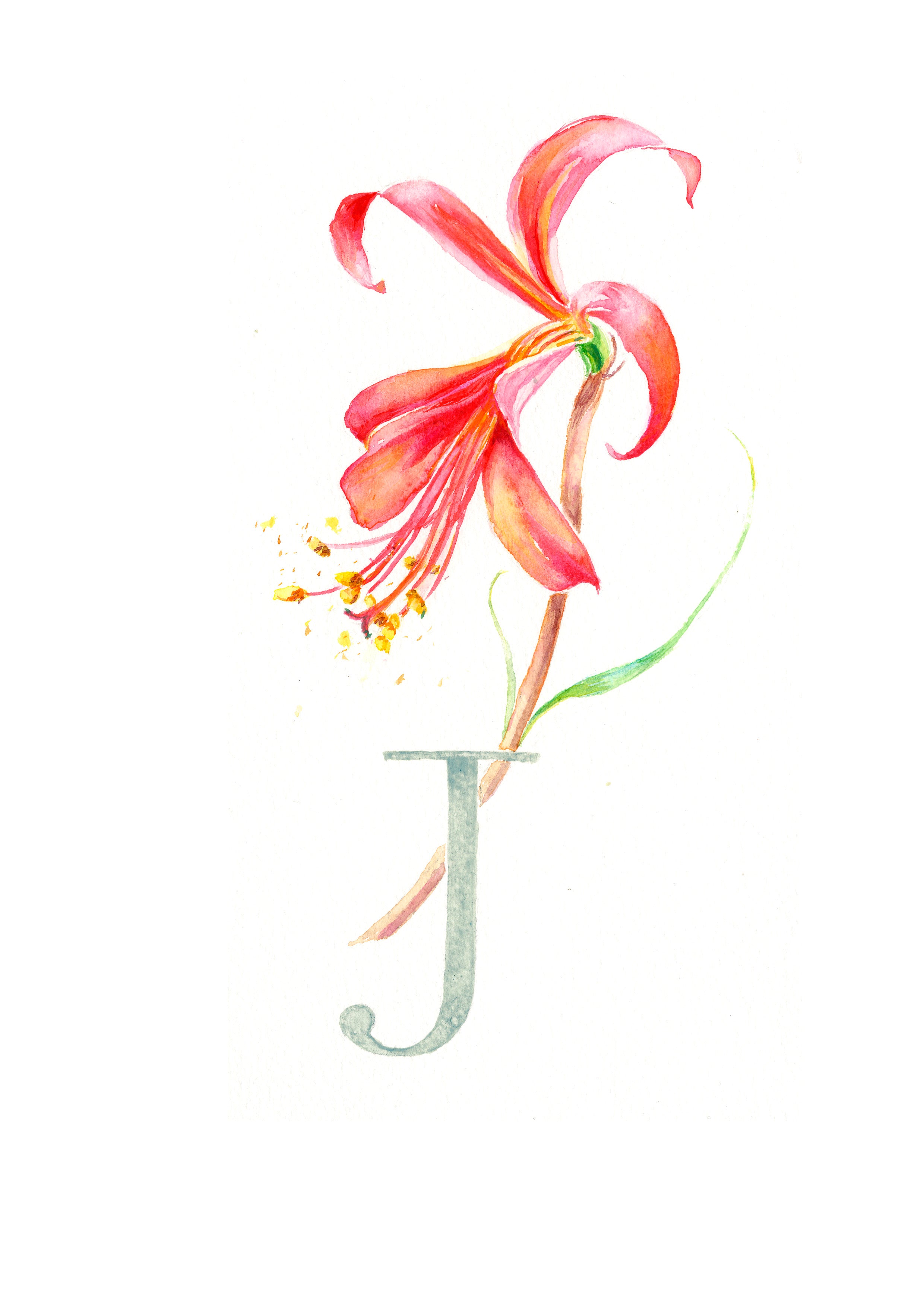 J (Japanese Lily)