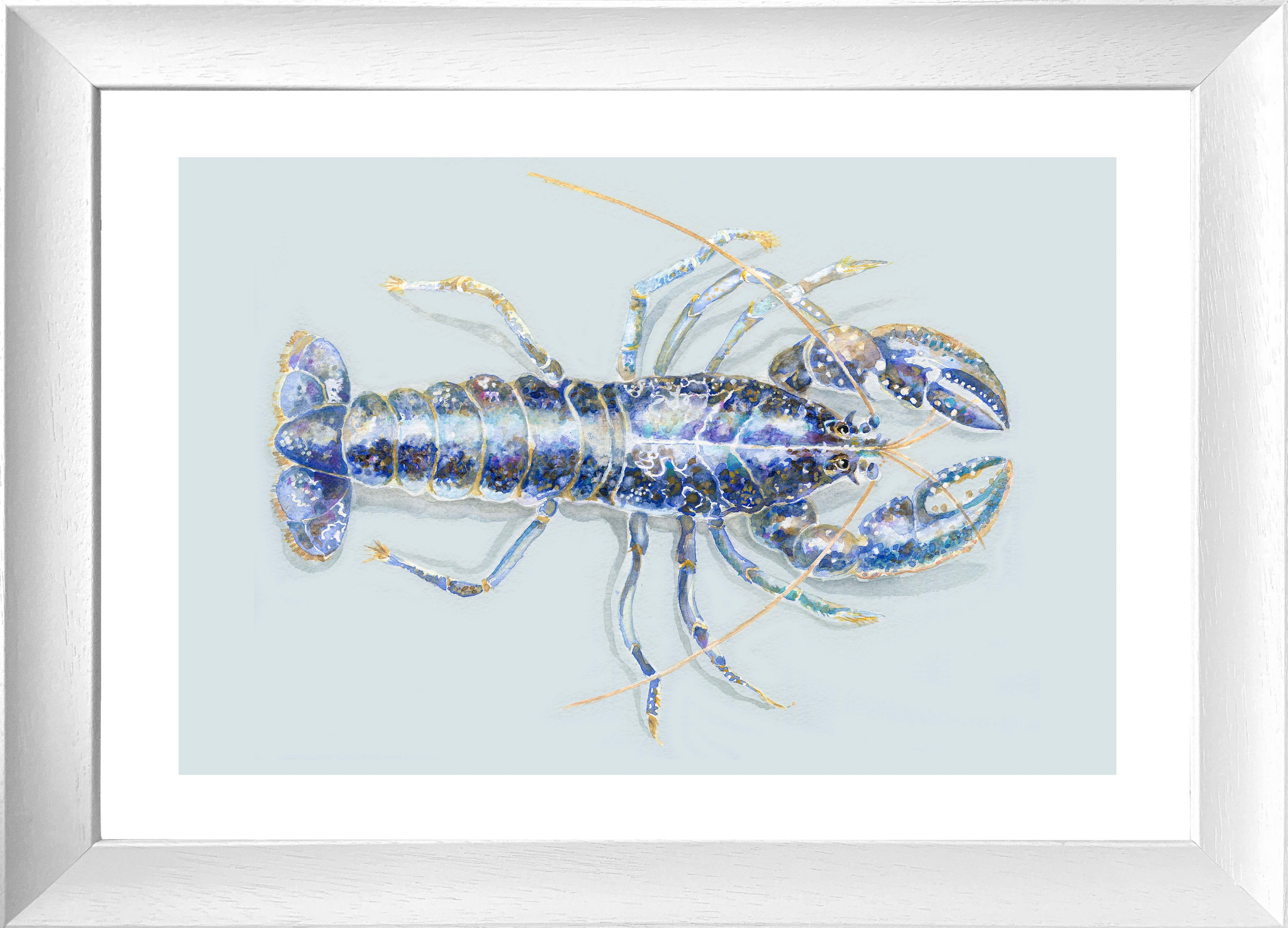 Blue Lobster (Framed Print)