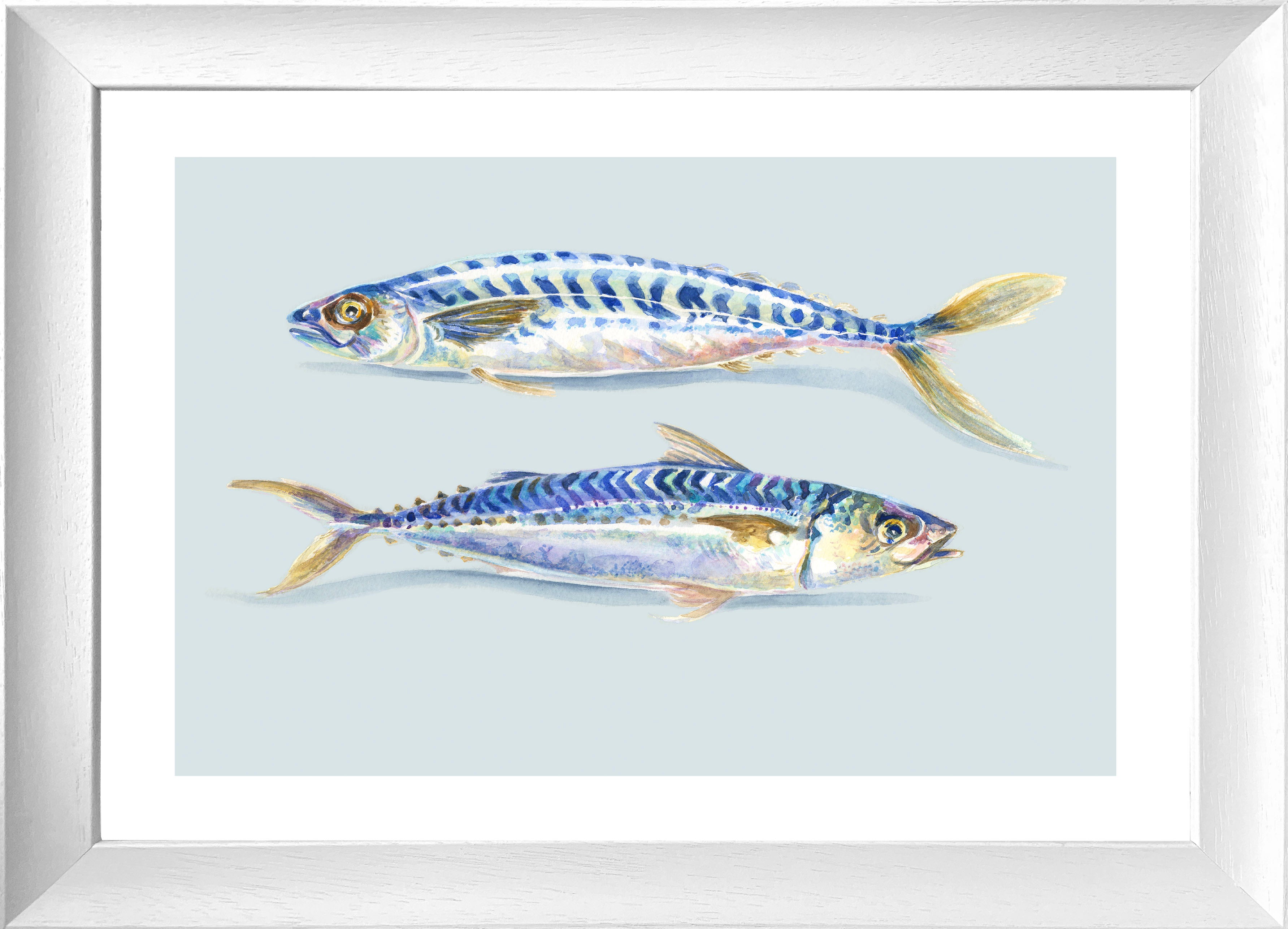 Two Mackerel (Framed Print)