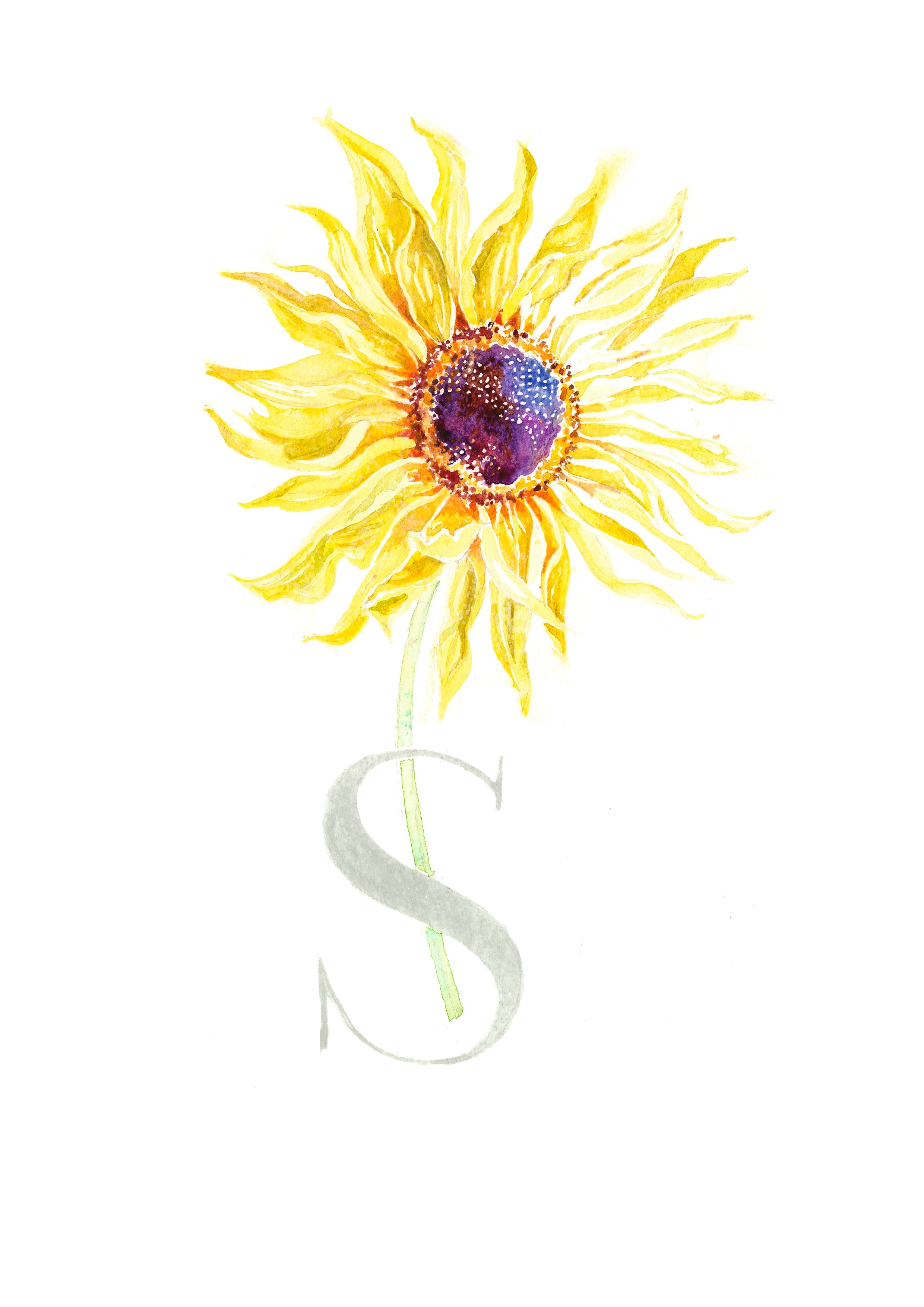 S (Sunflower)