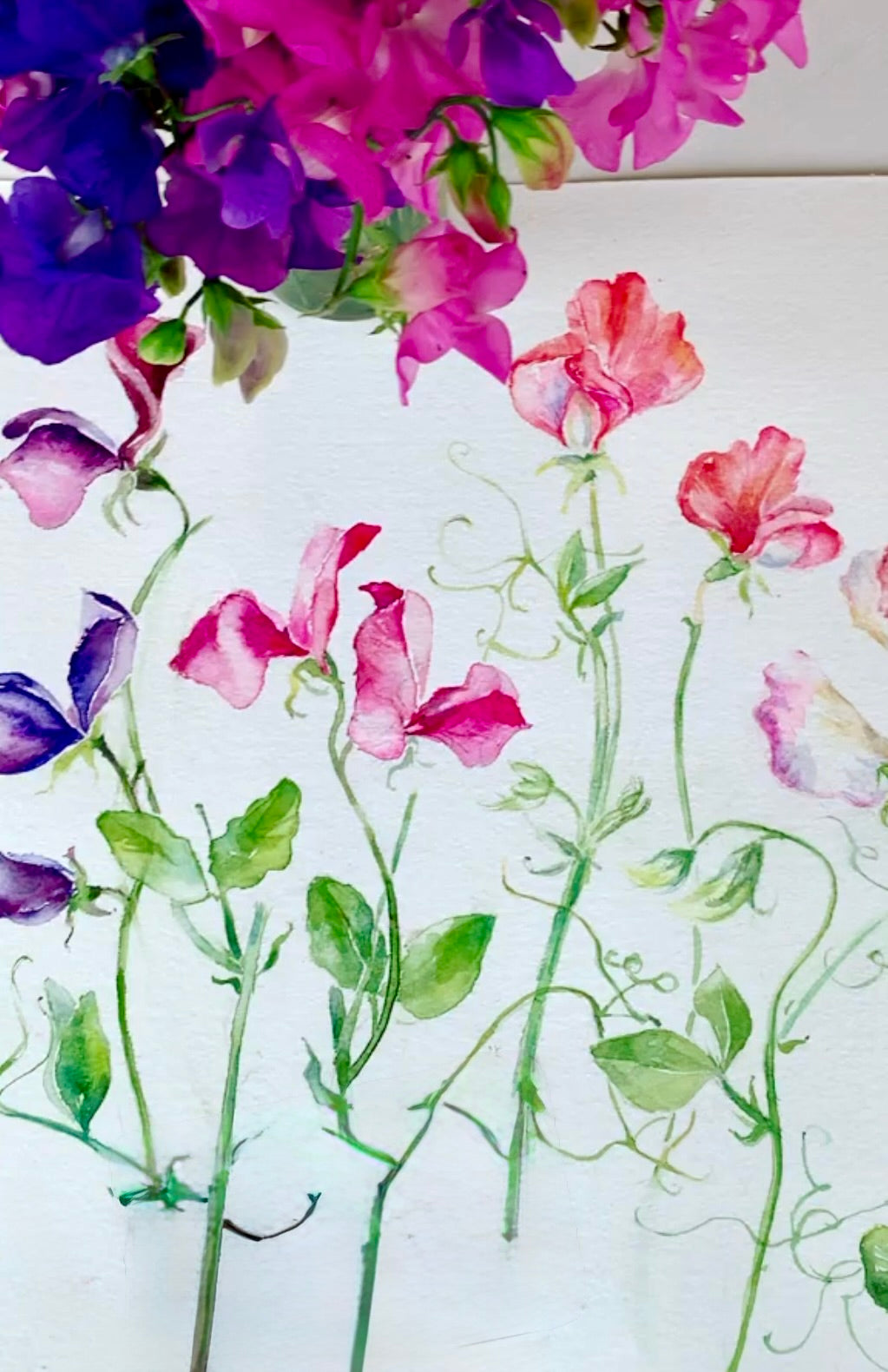 Sweet peas painting
