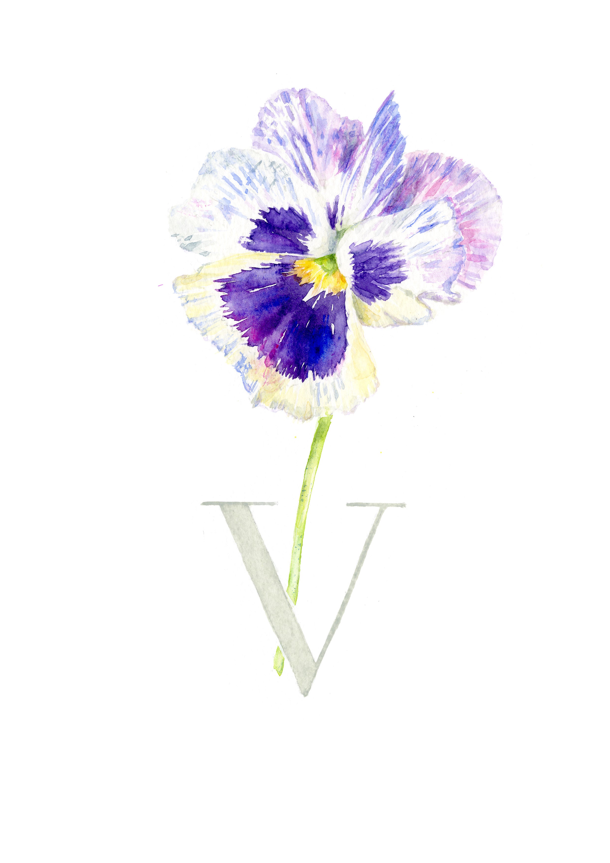 V (Violet)